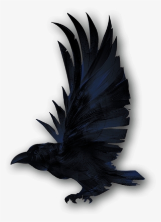 Personal Protection - Bird #5286620