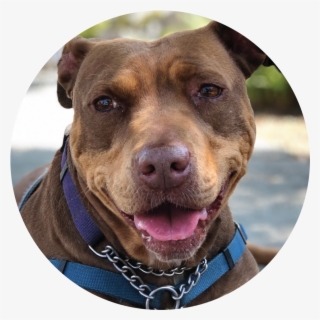 Arthur - Portable Network Graphics #5291731