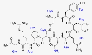 Adh Deficiency Symptoms - Oxytocin Syntocinon #5292589