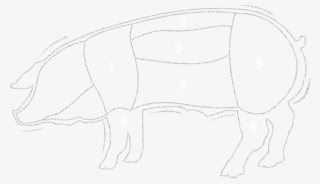 Cuts Chart - Sketch #5293462