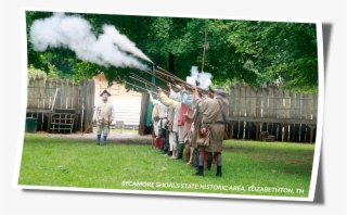 The Birth Of American Freedom - Grass #5296236