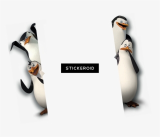 Penguins Of Madagascar #5297200