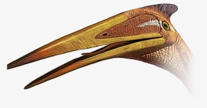 Quetzalcoatlus Dinopedia Fandom Powered - Quetzalcoatlus #530108