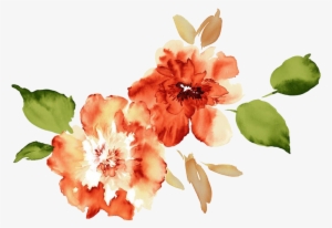 Clip Transparent Download Watercolour Flowers Paper - Watercolor Flowers Peach Peony Png #530457