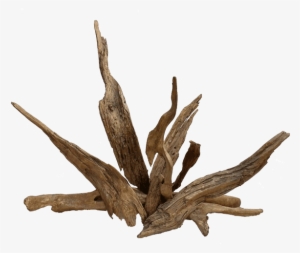 Golden Fire - Portable Network Graphics #530481