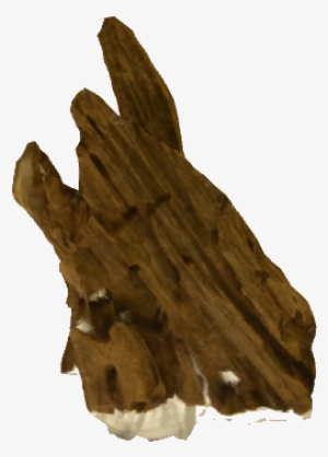 Driftwood - Wood #530634