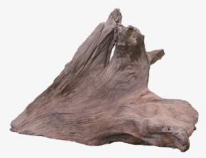 Driftwood #530653