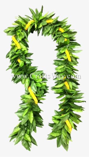 Lei-1003 Untied Maile & Ilima Lei - Wreath #530937 Lei-1003 Untied Maile & Ilima Lei - Wreath #530937
