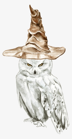 Snowy Owl Harry Potter Drawings #530980