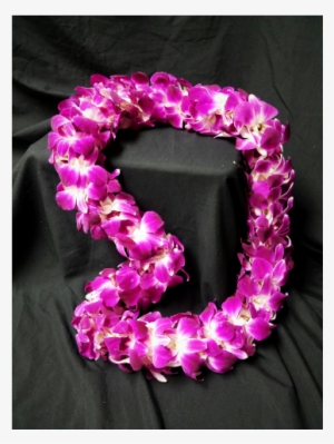 Bombay Orchid Lei - Bakersfield #531084