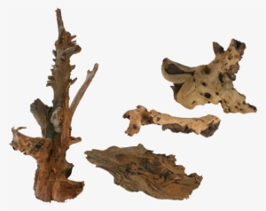 Beginner Guide - Wood #531195