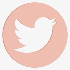 Social Media - Transparent Twitter Logo Png #531219
