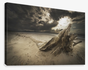 Alberta, Canada - Posterazzi Dpi1874334 Alberta, Canada - Driftwood On #531347