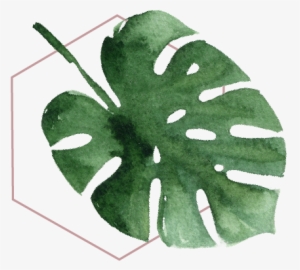 Erikareiner Graphic Medium - Save The Date Tropicales #531847