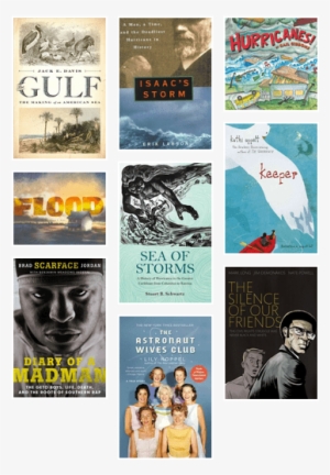 Diary Of A Madman By Brad Scarface Jordan #531963