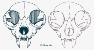 Cat Skull Vector Illustration On Behance Graphic Black - Transparent Cat Skull Vector #532120