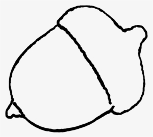 Clip Art Birthday Candle Clip Art Free Birthday Candle - Printable Acorn Template #532196