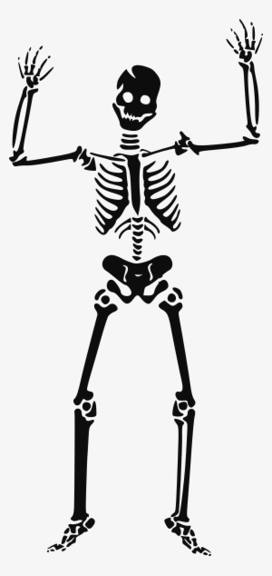 Famine Clip Art Clipart Clip Library Stock - Skeleton Clipart #532229
