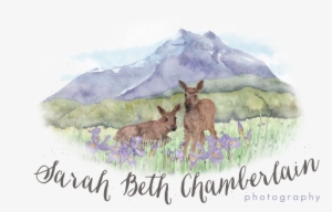 Sarah Beth - Info - Sarah Beth Chamberlain Photography #532397