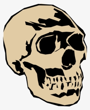 Vector Illustration Of Human Skull Head - Skull #532465