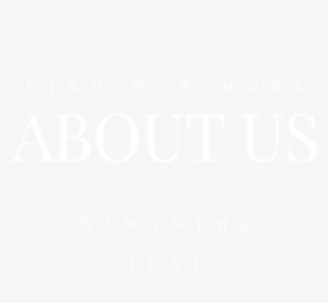 About Arius Photography Hudson Valley Wedding Photographer - Crowne Plaza White Logo #532578