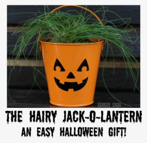 Hairy Jack O Lantern Pin #533230