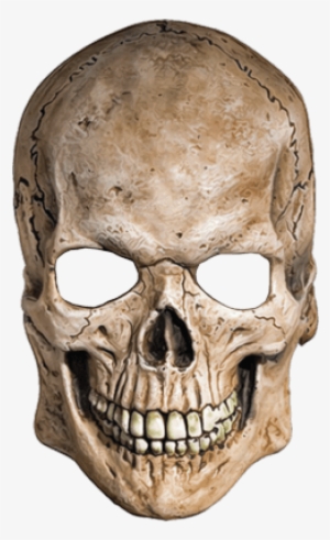 Png Image Information - Skull Mask No Background #534047