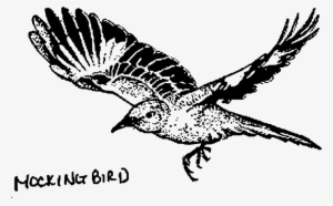 Medium Image - Kill A Mockingbird Drawing #534232