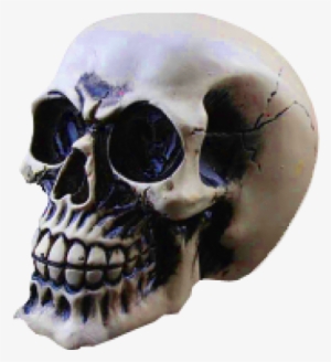 Skeleton Head Png Transparent Images - Dsstyles Led Light Up Skull Halloween Decoration Night #534547 Skeleton Head Png Transparent Images - Dsstyles Led Light Up Skull Halloween Decoration Night #534547