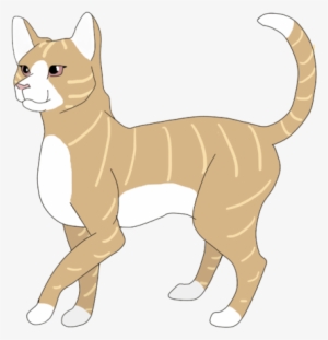 Mockingbird Sig - Abyssinian #534641