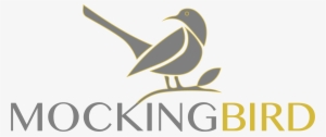 Hello Mockingbird - Piciformes #534689 Hello Mockingbird - Piciformes #534689