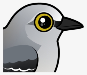 Mockingbird Clipart Common - Northern Mockingbird Clip Art #534712 Mockingbird Clipart Common - Northern Mockingbird Clip Art #534712