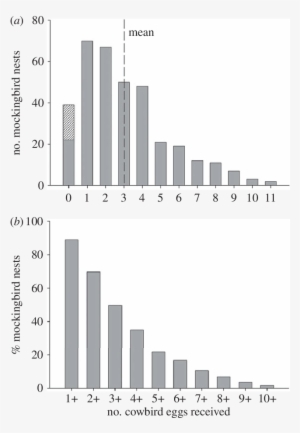 The Number Of Cowbird Eggs Found In Mockingbird Nests - Skyline #534731 The Number Of Cowbird Eggs Found In Mockingbird Nests - Skyline #534731