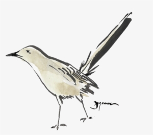 Mockingbird Watercolor - Mockingbird Watercolor Png #534911 Mockingbird Watercolor - Mockingbird Watercolor Png #534911