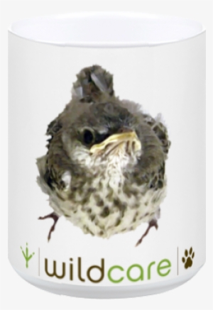 Mockingbird #534996 Mockingbird #534996