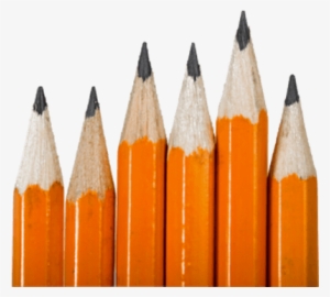 Grupo De Lápices - Pencils Png #537760