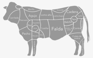 Piezas Carne Vacuno, Vaca, Buey, Cocina - Partes De La Carne De La Vaca #537958