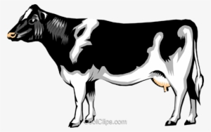 rathi cow image clipart