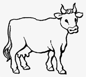 Colouring Picture Of A Cow #538006
