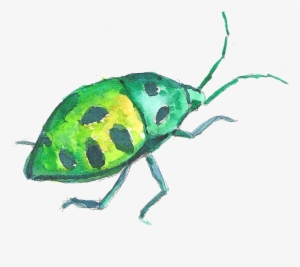 Free Stock Volkswagen Beetle Painting Crawling Green - Insect Watercolor Png #538332