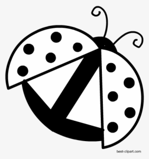 Black And White Image Of A Ladybug Ready To Fly, Free #538554