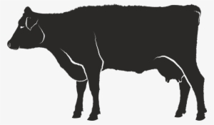 Silueta Vaca Png - Sapi Siluet #538728
