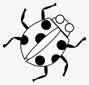Lady Bug Line Drawing #538873