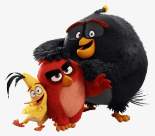 The Angry Birds Movie Images The Trio Hd Wallpaper - Angry Birds Movie Png #539327