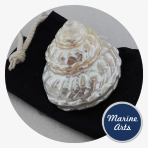 Pearl - Wavy Turban #539367