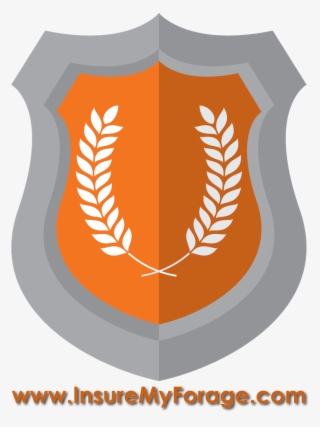 Thank You To Our Gold Sponsors - 1ère Place Png #5304740