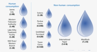 The Westrock Paper Mill In West Point And The International - Virginia #5304785