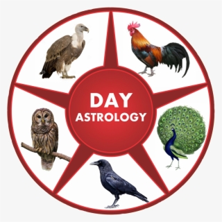 Neel Astro - Supernatural Devil's Trap #5318814