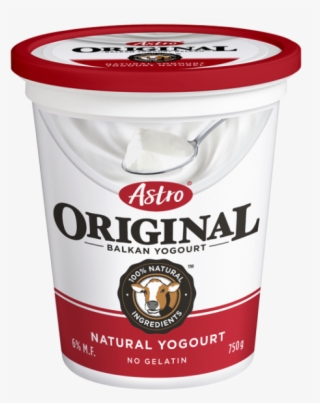 Astro Balkan Yogurt #5319161