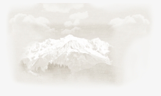 Authentic Beers, Beers With Character, High-quality - Lace #5320428